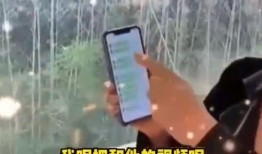 张兰爆料徐妈妈是谁视频,揭秘背后惊人真相