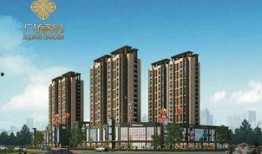 儋州家园广场爆料案件最新,真相大白，正义得以伸张